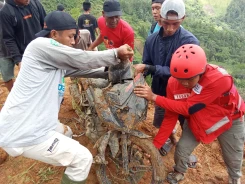 [UPDATE] - Satu Korban Meninggal Dunia ditemukan Tim Gabungan Pascalongsor Kabupaten Luwu